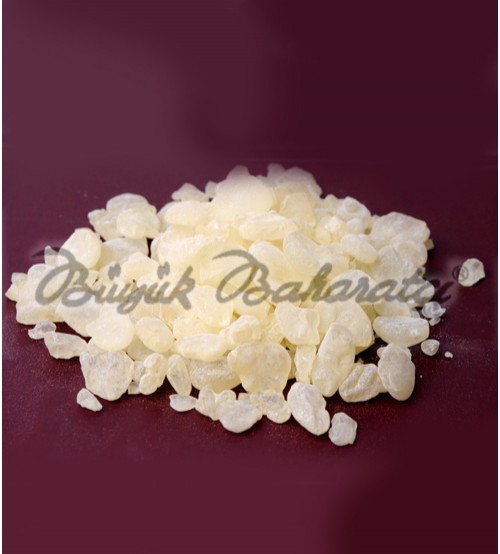 Sıfy Damla Sakızı 10 gr
